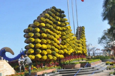 Xem rắn hoa “khủng” nhả ngọc bên bờ Hàn Giang ảnh 5