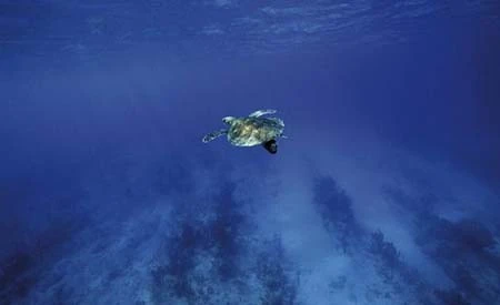 Những nơi sắp biến mất khỏi châu Mỹ ảnh 2