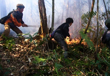 Cháy khoảng 100 ha rừng ở Vườn quốc gia Hoàng Liên ảnh 1 Cháy khoảng 100 ha rừng ở Vườn quốc gia Hoàng Liên ảnh 1