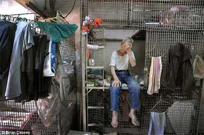 Thảm kịch sống trong "chuồng chó" ở Hong Kong ảnh 3 Thảm kịch sống trong "chuồng chó" ở Hong Kong ảnh 3
