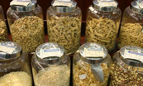 Đỉa và đông dược - những cỗ máy đẻ tiền tại Trung Quốc ảnh 1