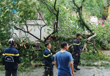 Mệt nhoài khắc phục hậu quả bão ảnh 3