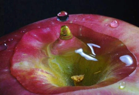 Ngay lập tức, người hâm mộ Apple trả đũa BlackBerry bằng một clip thể hiện sự thật hiển nhiên: mâm xôi sẽ tan nát khi chọi với táo. Ngay lập tức, người hâm mộ Apple trả đũa BlackBerry bằng một clip thể hiện sự thật hiển nhiên: mâm xôi sẽ tan nát khi chọi với táo.