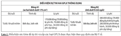 Không thường trú vẫn được cấp bằng lái xe ảnh 2
