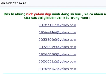 Nick Yahoo “đẹp” giá 20 triệu! ảnh 1