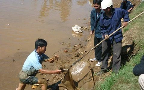 Chùm ảnh: Dân đổ xô ra hồ Xuân Hương bắt cá ảnh 4