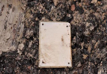 Phát hiện quan tài nạm lục ngọc, vàng mười trong mộ cổ ảnh 3