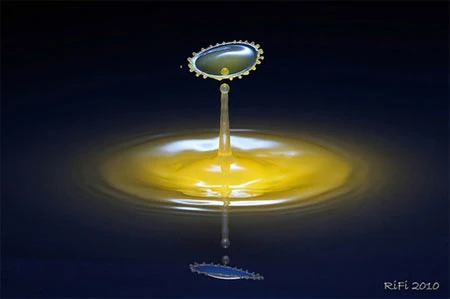 Thời gian ngưng đọng qua ảnh chụp tốc độ cao ảnh 18 Thời gian ngưng đọng qua ảnh chụp tốc độ cao ảnh 18