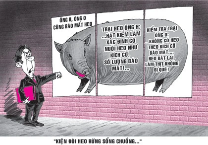 Kiện đòi heo rừng sổng chuồng ảnh 1