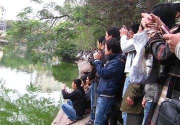 Cụ rùa Hồ Gươm “vãn cảnh” trong giá rét ảnh 2