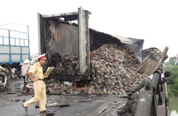 Xe container cháy rụi trên cầu ảnh 2