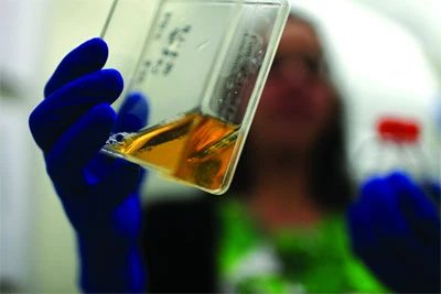 Cải lão hoàn đồng, ước mơ trong tầm tay ảnh 2