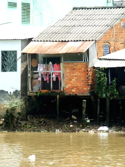 Sông Tiền quá bẩn! ảnh 5