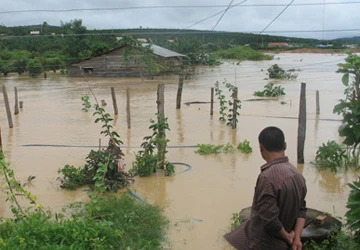Xả lũ, thủy điện Đa Nhim bồi thường? ảnh 1