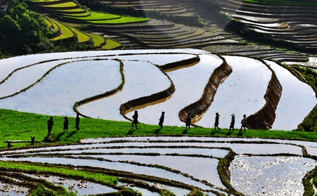 Ngắm Sapa trong vụ cấy mới ảnh 2