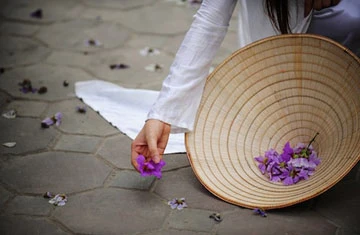 Bằng lăng tím vẫy gọi hè ảnh 6