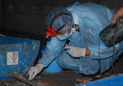 Chim yến nuôi tại Bình Dương âm tính với virus H5N1 ảnh 1