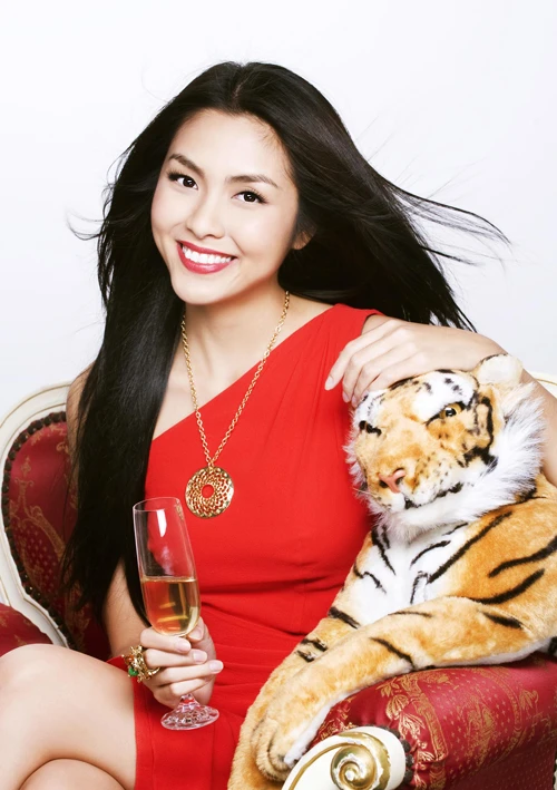 Mỹ nhân tuổi Dần Tăng Thanh Hà ảnh 4