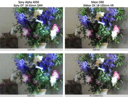 Sony Alpha A550 ảnh 5