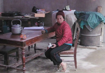 TP.HCM có khúc côn cầu trên… băng ảnh 2