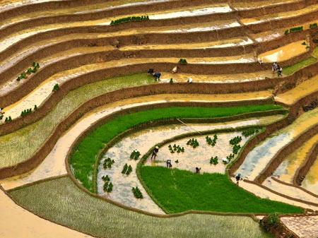 Ngắm Sapa trong vụ cấy mới ảnh 3