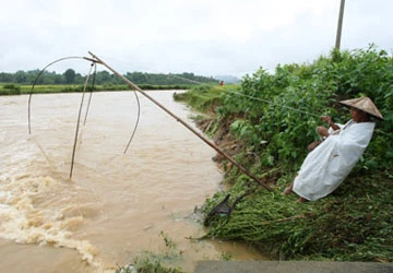 Tản mạn sông quê ảnh 4