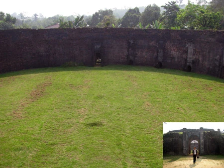 Tái hiện những cuộc chiến sinh tử giữa voi và hổ ảnh 1 Tái hiện những cuộc chiến sinh tử giữa voi và hổ ảnh 1