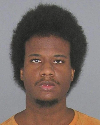 Bị bắt vì sex với thú bông ngay nơi công cộng ảnh 1