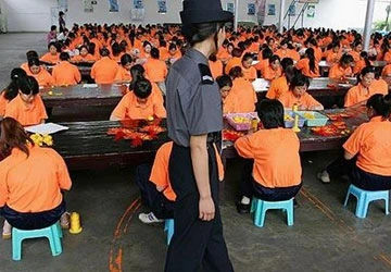 Ác mộng “phục hồi nhân phẩm” ảnh 1