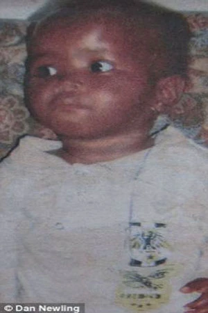 Chuột khổng lồ ăn thịt 2 em bé ở Nam Phi ảnh 1 Chuột khổng lồ ăn thịt 2 em bé ở Nam Phi ảnh 1