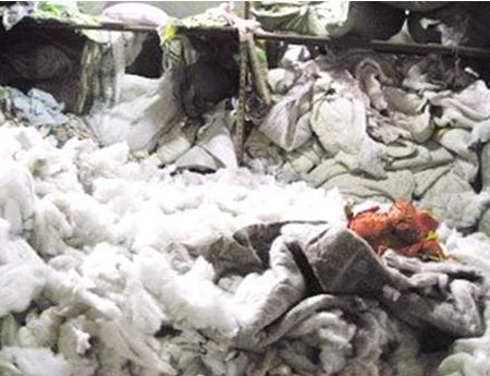 Công nghệ “hô biến” chăn bãi rác thành chăn bông mới ảnh 1