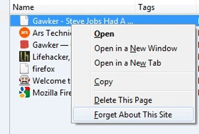 Chức năng Forget About This Site