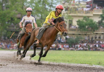 Đua ngựa thồ trên rẻo cao ảnh 4
