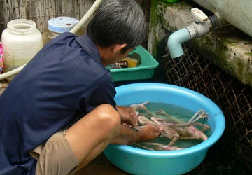 Bẫy thú rừng giữa đại ngàn ảnh 3