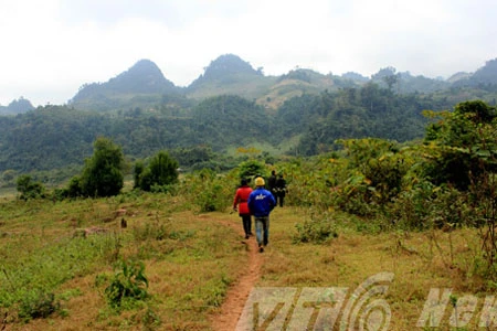 Kỳ 3: Trăn khổng lồ cứu dân bản khỏi bầy thú dữ ảnh 3