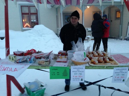 Vẻ đẹp quyến rũ của làng quê Thụy Điển mùa Giáng sinh ảnh 19