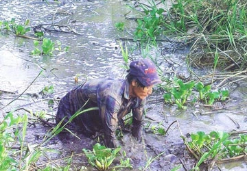 Phó chủ tịch UBND tỉnh Bà Rịa-Vũng Tàu: Quyết kiện Vedan đến cùng! ảnh 2