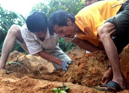 Đổ xô đào đá cảnh ở nghĩa địa ảnh 4