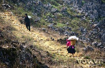 Lên cao nguyên đá Đồng Văn ảnh 10