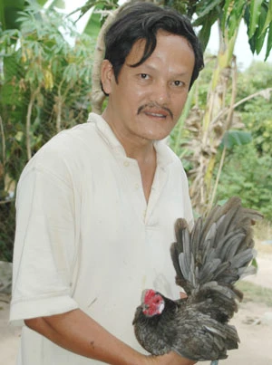 Bỏ phố về quê nuôi gà quý ảnh 3