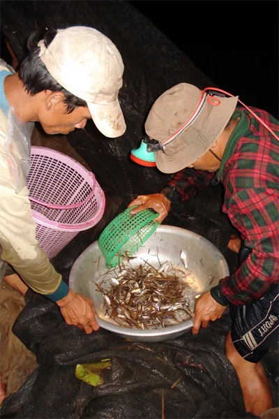 Tôi đi đánh lưới bao ảnh 4