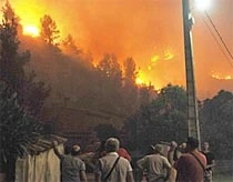 Đám cháy thiêu rụi nhiều căn nhà. Ảnh: AFP.