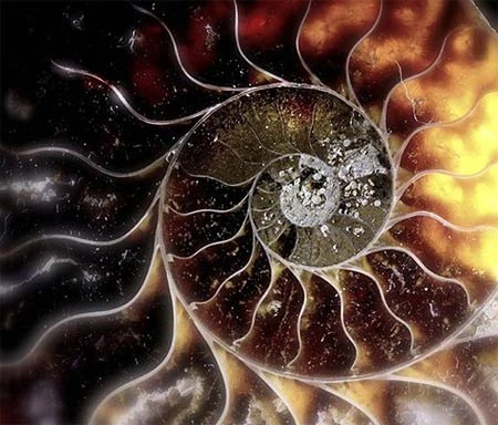 Những kỹ thuật chụp ảnh xuất sắc phô diễn trên Flickr ảnh 10