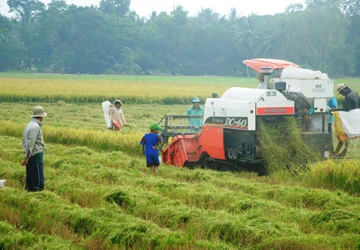 Bán ruộng đi làm thuê có lợi hơn ảnh 1