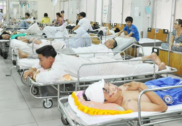 BV Việt lại tính chuyện ngăn 1 tỉ USD xuất ngoại ảnh 1