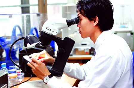 Rủi may thú chơi đá quý ảnh 1