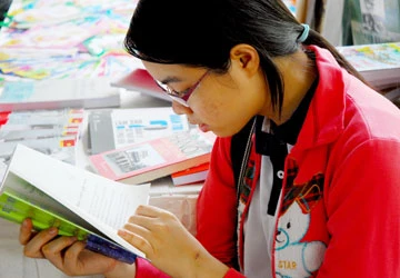 Văn học Việt Nam đang khủng hoảng ảnh 1