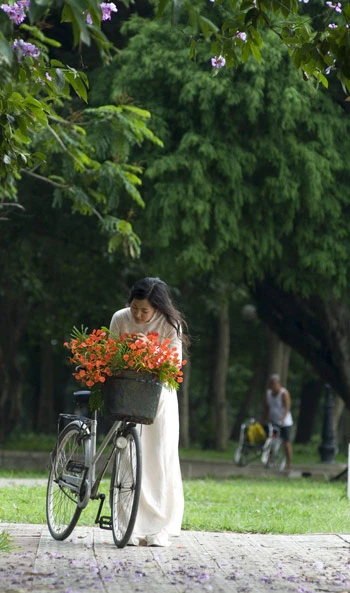 Thiếu nữ e ấp trong mùa hoa phượng ảnh 1