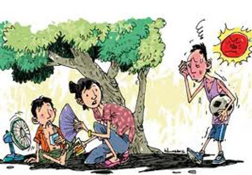 Không phải cứ mát là giải nhiệt ảnh 1