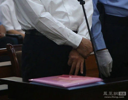 "Ám hiệu bí ẩn" của Bạc Hy Lai ảnh 1